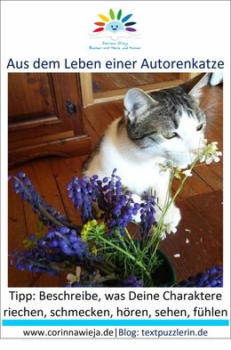 Schreibtipp-mit allen fünf Sinnen schreiben rät die Autorenkatze
